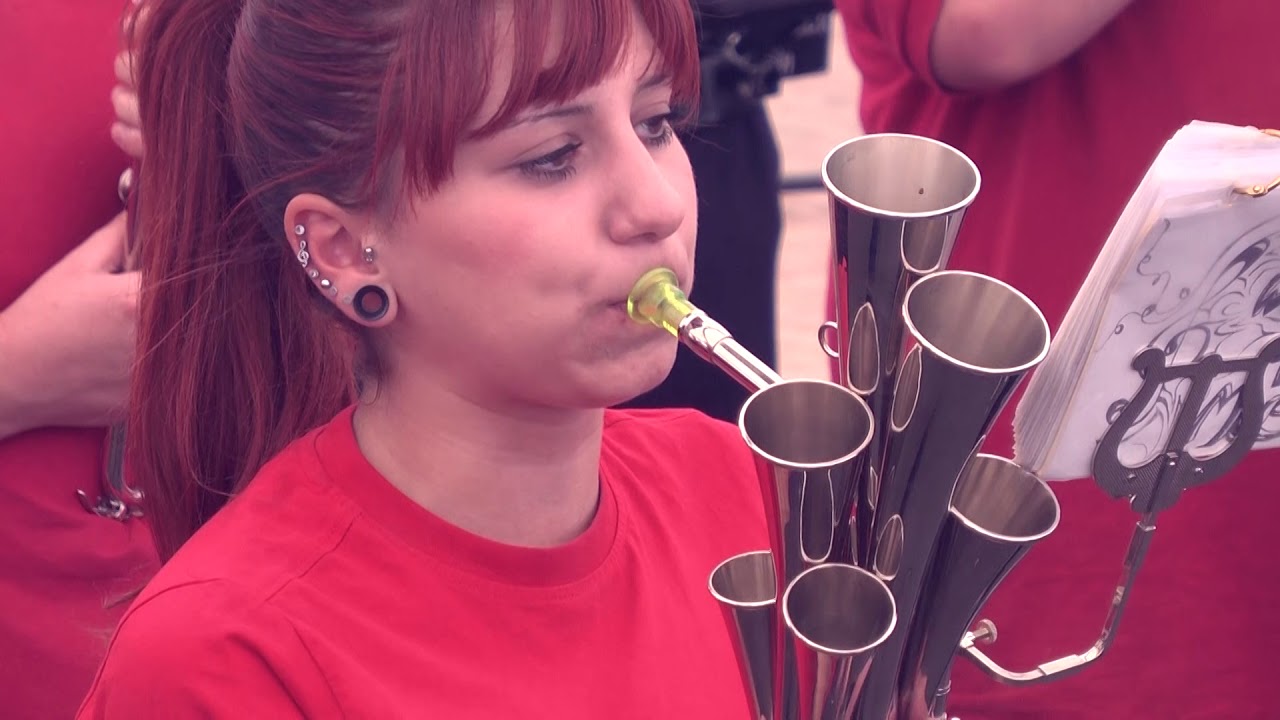Schalmeienkapelle der FFW Malchin (7. Musikfest Teterow 2018)