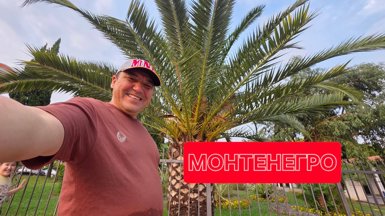 #монтенегро га сайёхатдан олган тажрибаларимиз- куринг очик обзор