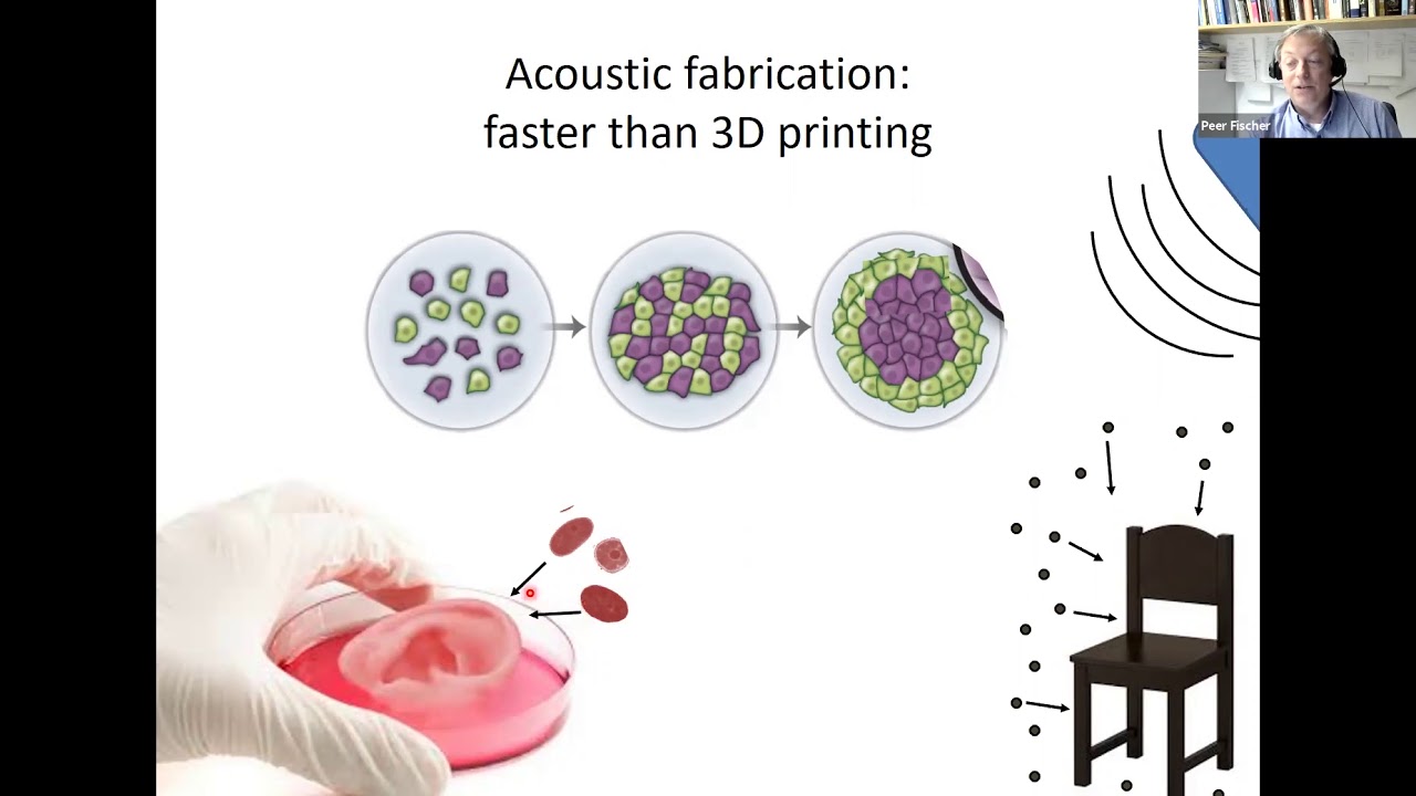 Microsystems & Nanorobots Actuated by Light, Magnetic Fields, & 3D Ultrasound - Prof. Peer Fischer