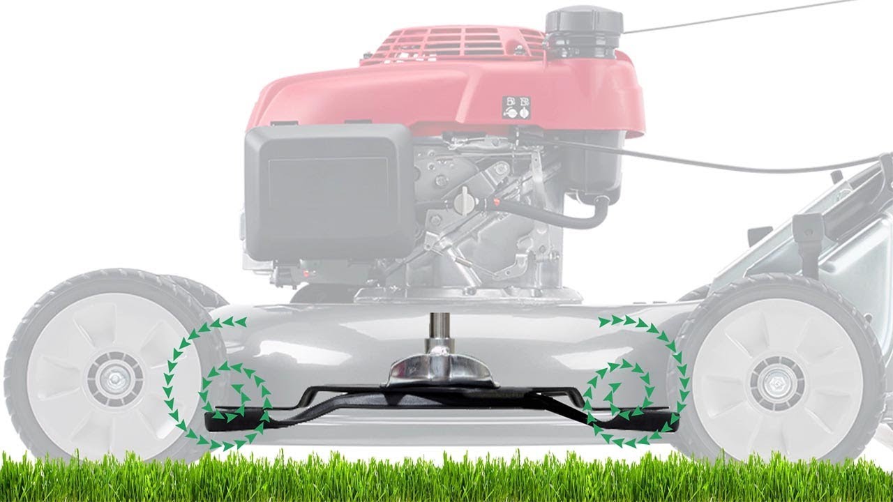 Lawn Mower Cut Quality: Mulching