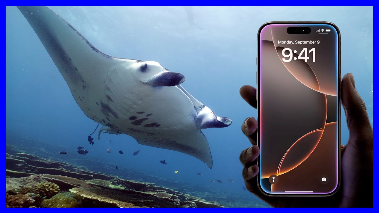 iPhone 16 Pro для ПОДВОДНОЙ СЪЁМКИ 🌊🎥 | Стоит ли обновляться?! 🤷🏻&zwj;♂️