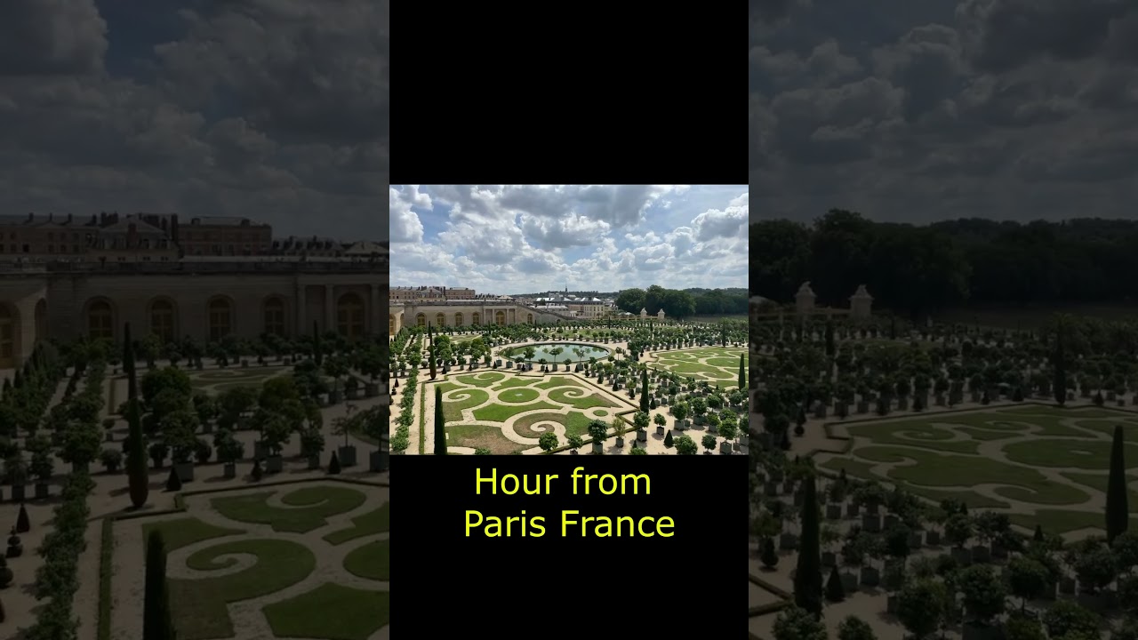 Djaspor Mischievous Intentions #palace  #progressivehouse  #garden  #gardendesign  #edm