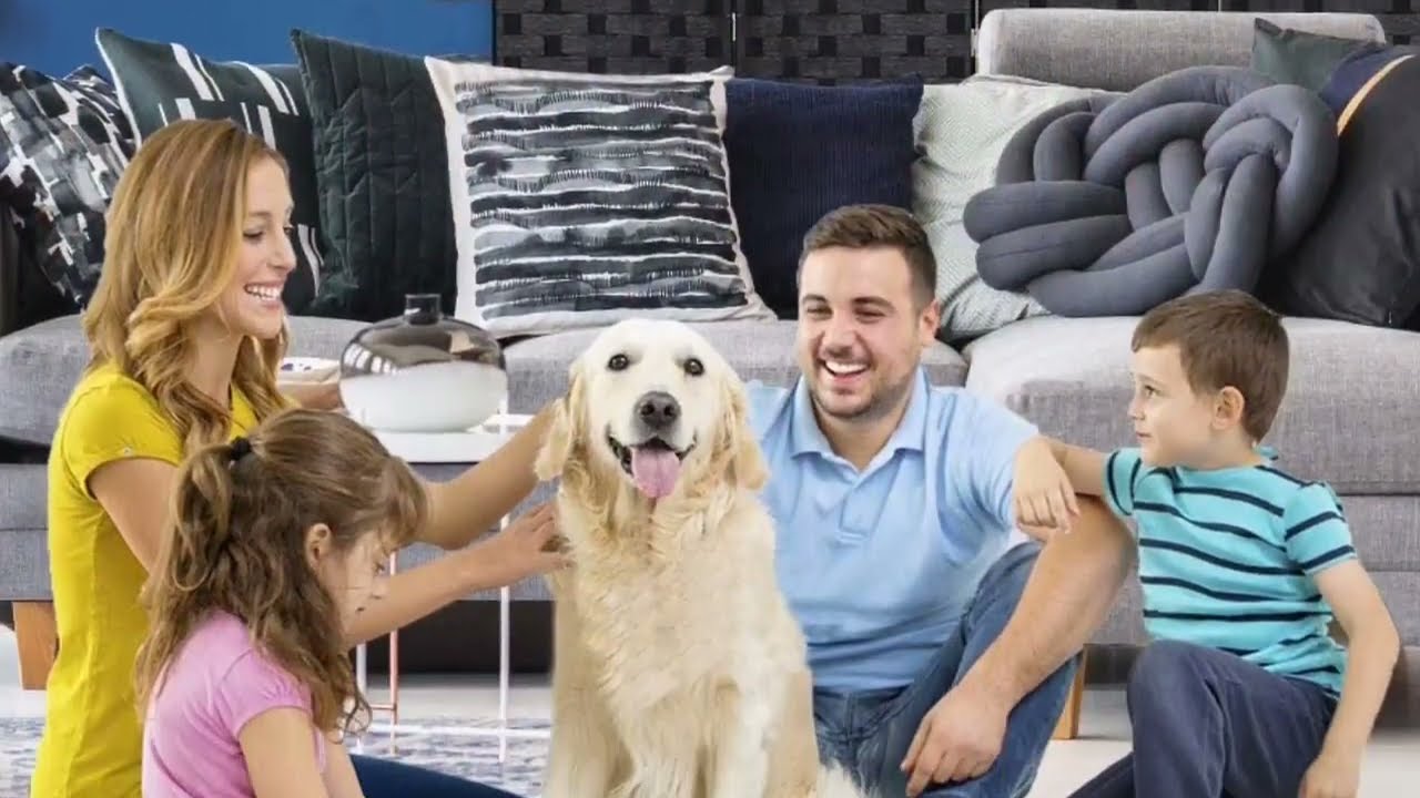 ⭕ Top 5 Best Room Divider 2023 [Review and Guide]