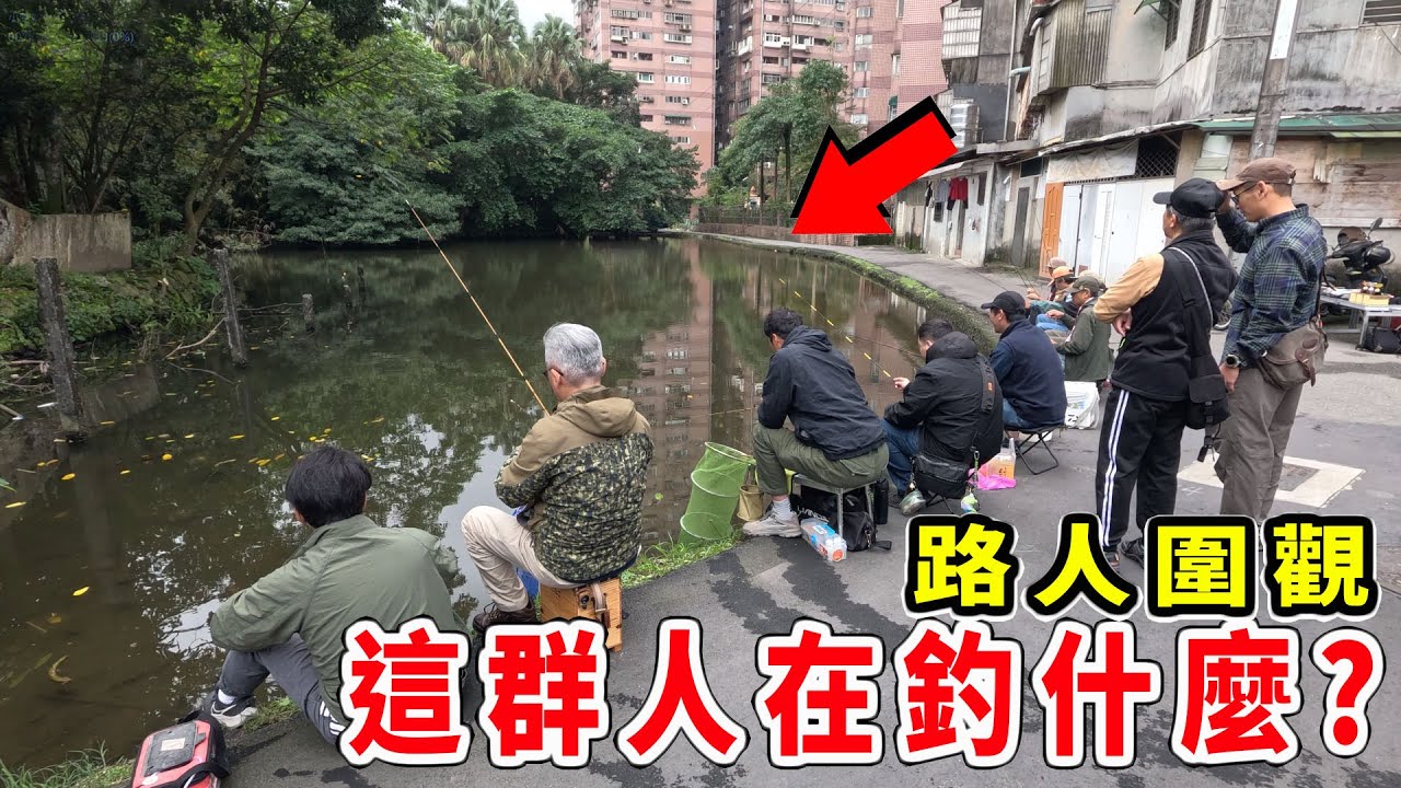 6秒釣一隻 輕鬆破百 路人圍觀~這群人到底在釣什麼? 【漁樂爽報】Fishing Fun NEWS EP199  #釣魚 #钓鱼 #fishing