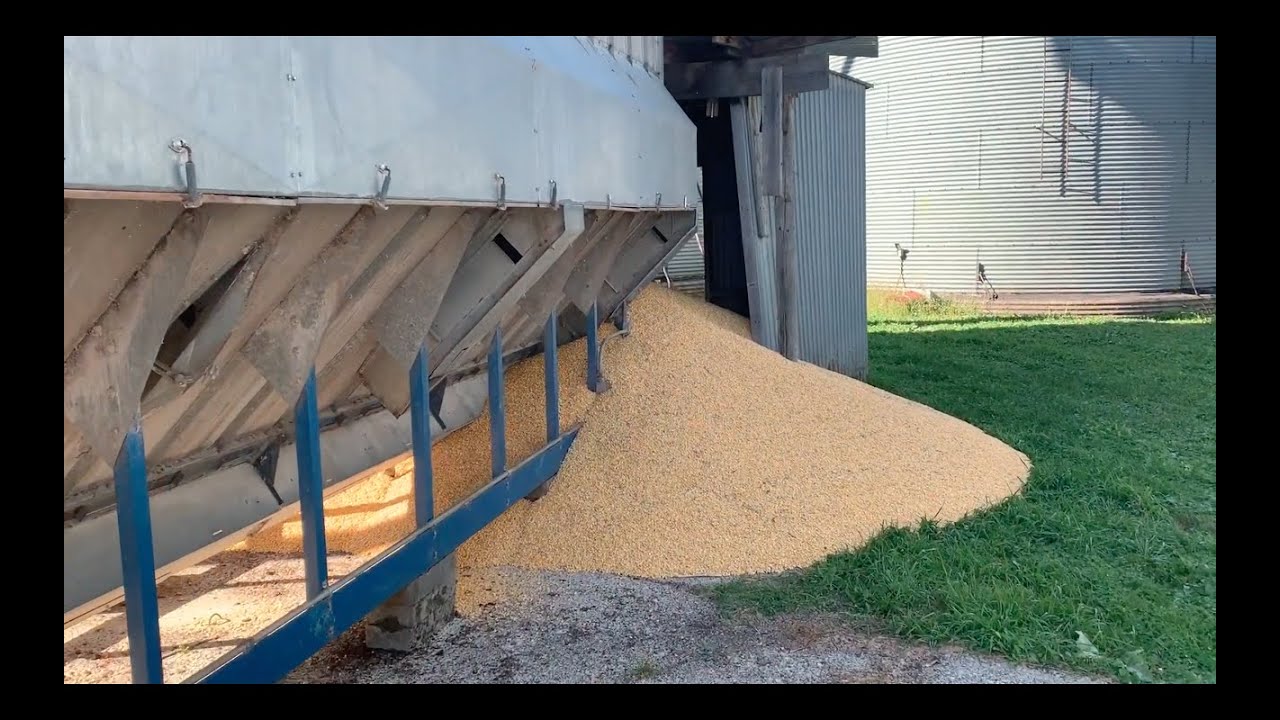 Everyone Grab A Shovel!