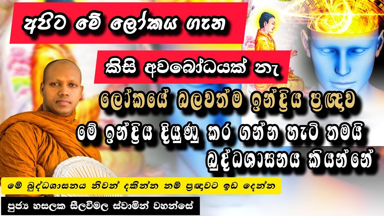 මෝහය වැඩීම හා අවබෝධය |#888බණවර |#revhasalakaseelawimalathero |2026.02.13