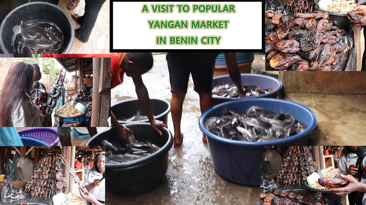 A VISIT TO POPULAR YANGAN MARKET AT RING ROAD IM BENIN CITY PRICE OF VARIOUS RIVER FISH