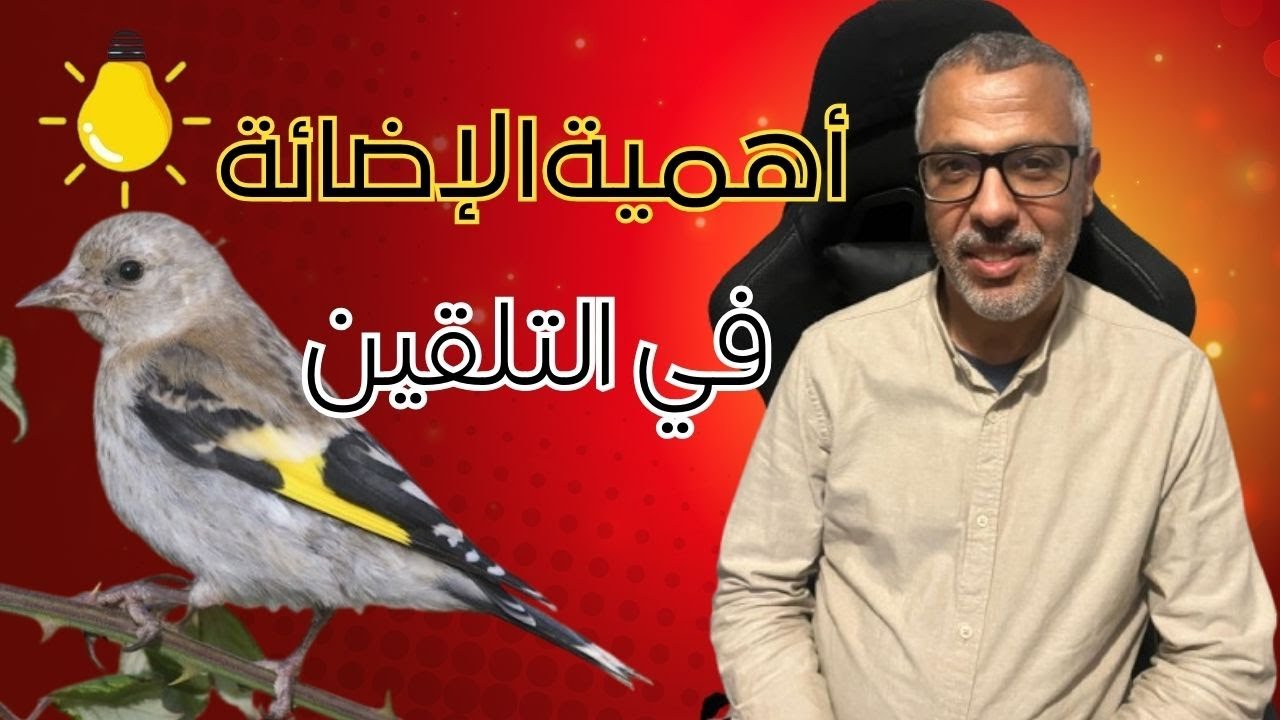 كيف نتعامل مع طيور التلقين بعد غيار الريش أو البدالة {هذه الطريق خاصة بالحسون و ليس للهجين}