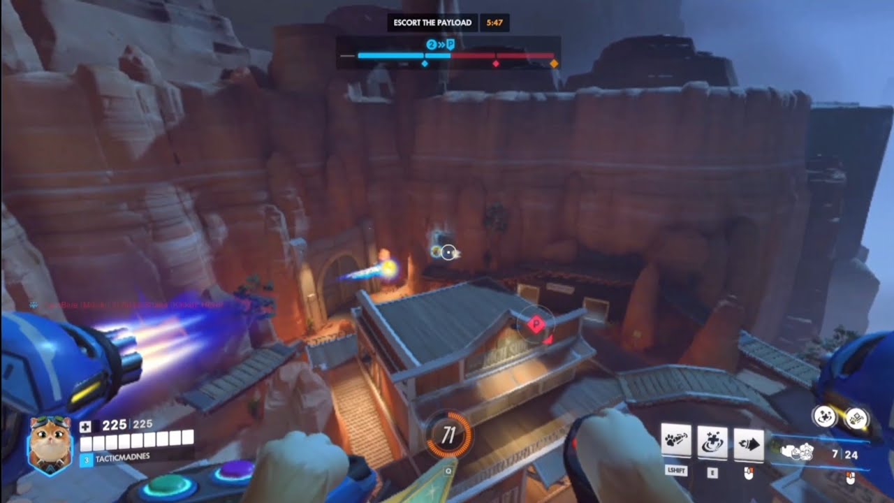 Overwatch cat on top of the world 