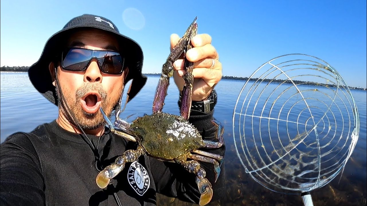 Season Starter Swan River Scooping Crabs