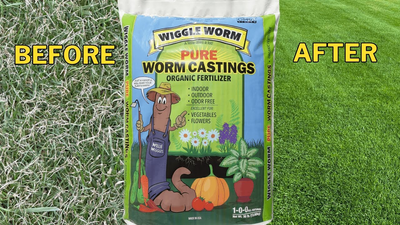 Can Worm Castings Make My Grass Green Fast?