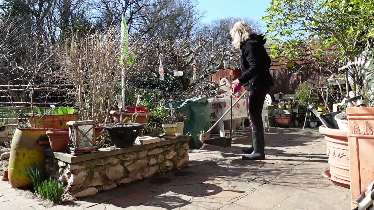 giardinaggio di fine inverno :relaxing vlog