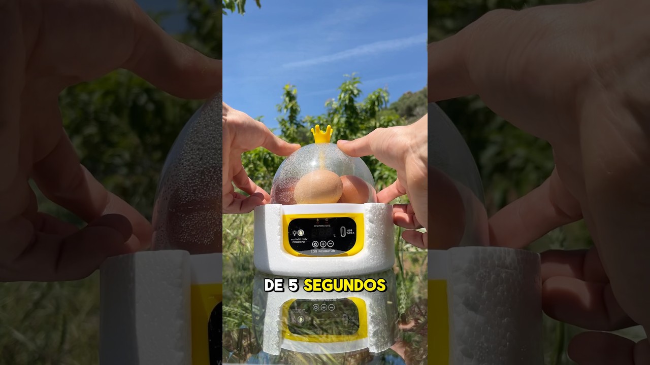 Esto empieza con un huevo 🥚 y termina con vida 🐣🔥 #incubadoras #huevo #pollitos #gallinas #granja
