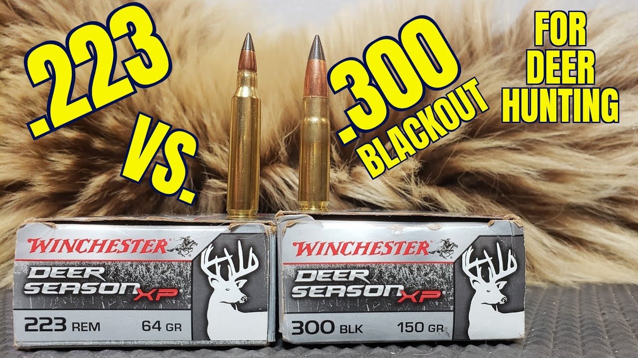 .223rem против .300 Blackout для охоты на оленей