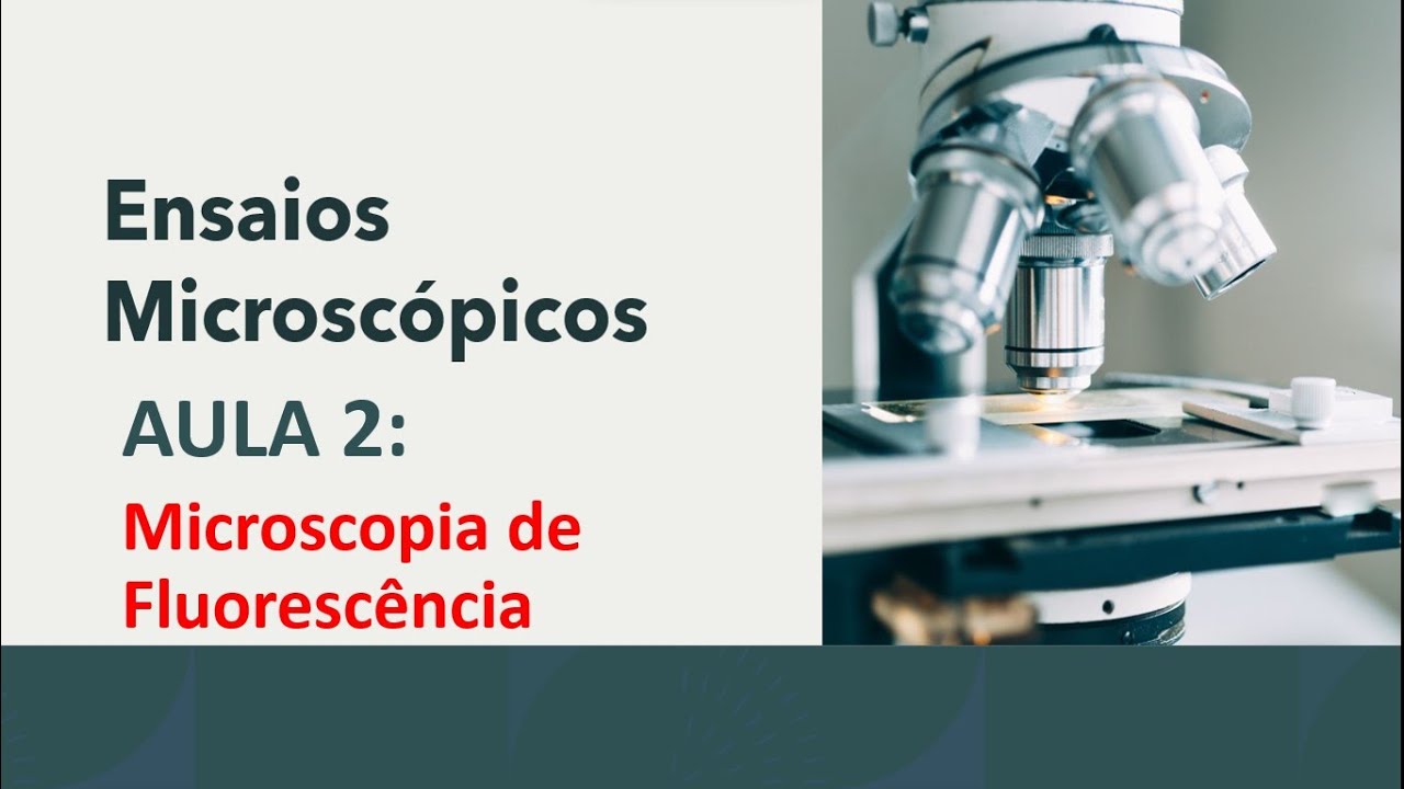 Microscopia de Fluoresc&ecirc;ncia