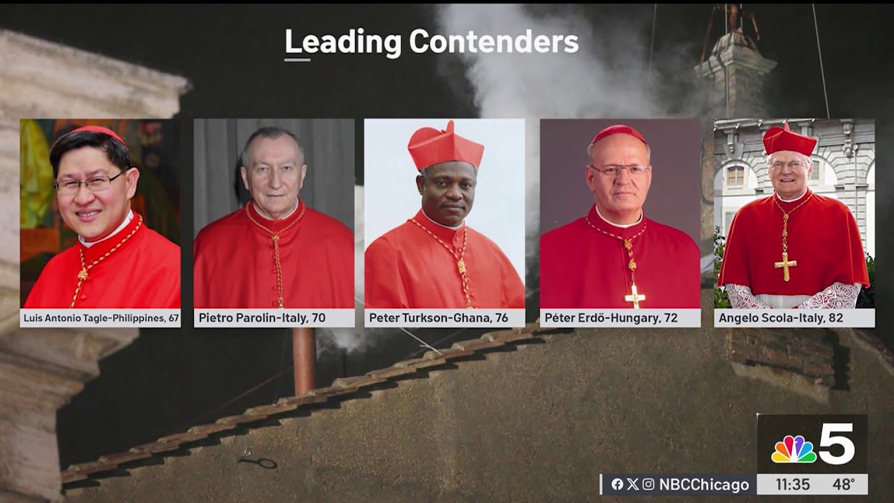 Who could replace Pope Francis? Experts explain what could happen next