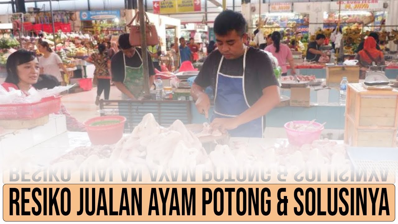 Resiko Jualan Ayam Potong & Cara Mengatasinya