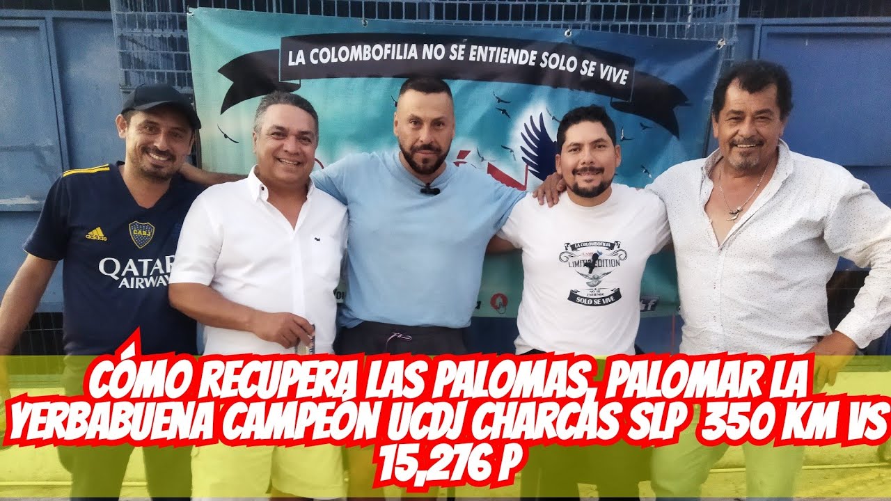 Conoce Cómo Recupera las Palomas, Palomar La Yerbabuena Campeón UCDJ Charcas SLP  350 km vs 15,276 p