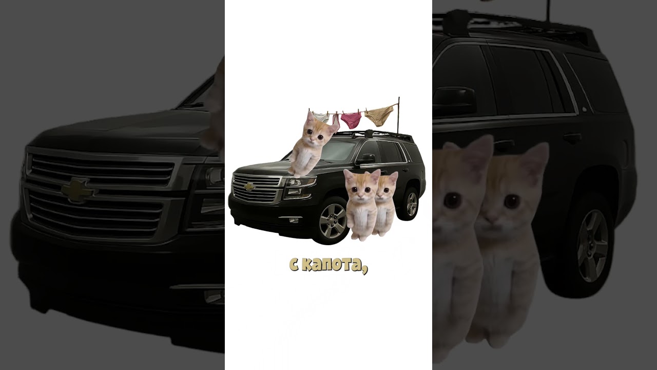 Chevrolet Tahoe - кисы объясняют 😻