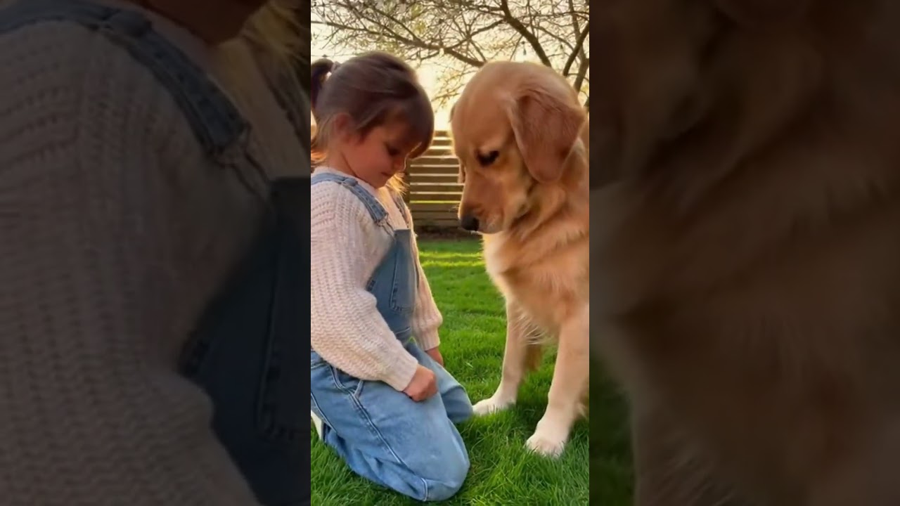 This Baby and Puppy Friendship Will Melt Your Heart 