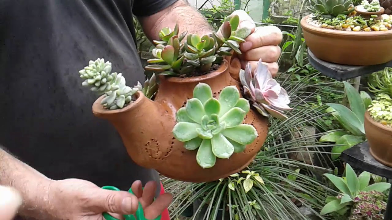 Mostrando o jardim de um amigo colecionador e comprando novas plantas