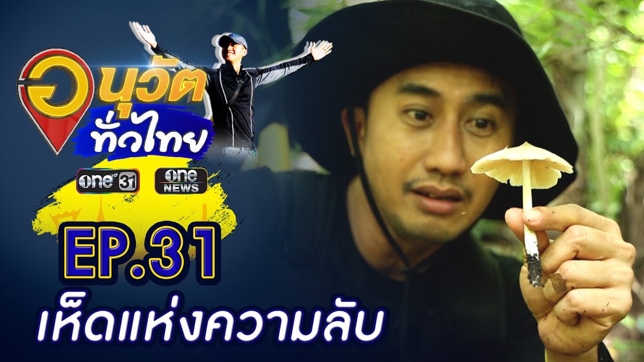 ล่าเห็ดแห่งความลับ กาญจนบุรี | อนุวัตทั่วไทย | EP 31 | ข่าวช่องวัน | one31