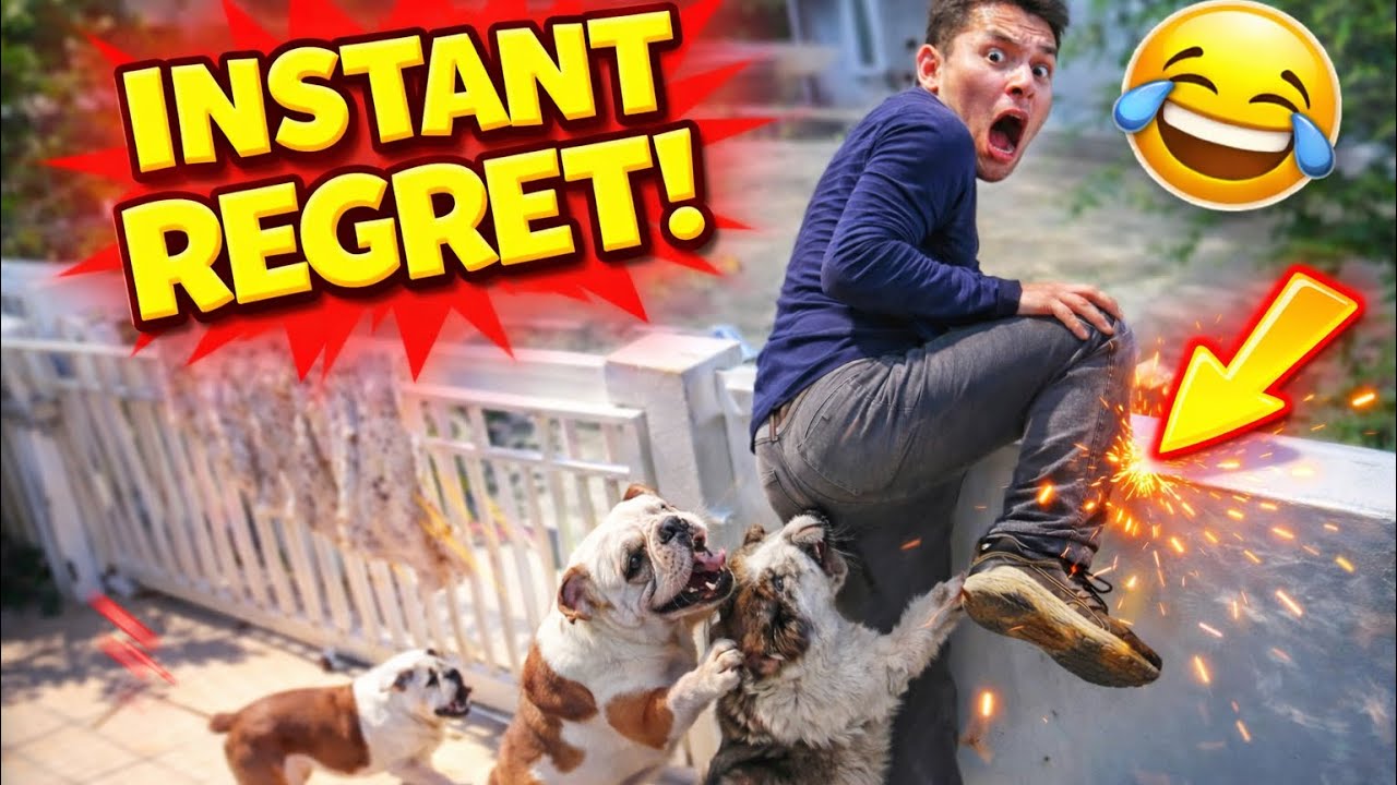 Try Not To Laugh Challenge 2026 😂 | Ultimate Funniest Memes Compilation
