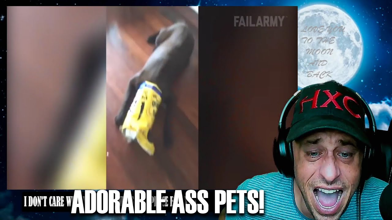 *Try Not To Laugh Challenge* Funny Dogs Fail Compilation | FailArmy Reaction!