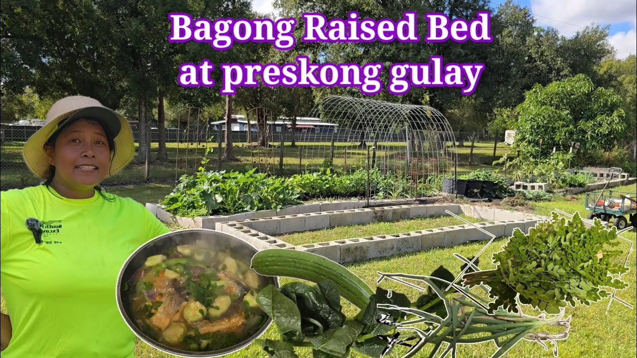 Gawa bagong Raised bed | Fresh gulay