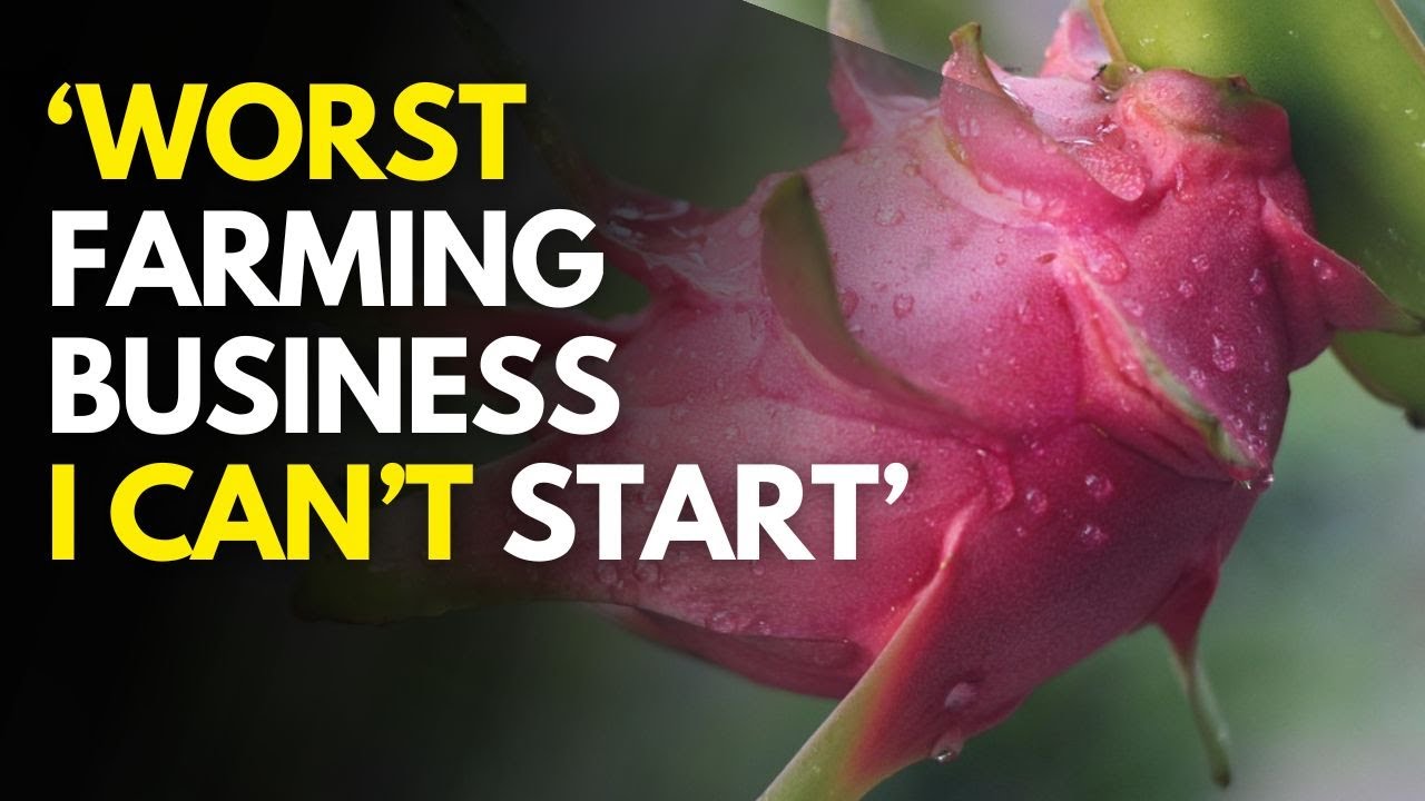 The worst Farming Businesses to Start in 2025