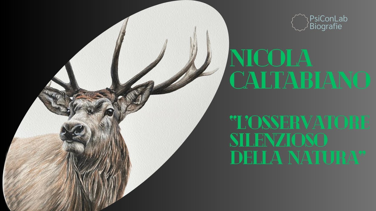 Nicola Caltabiano - L&rsquo;osservatore silenzioso della natura