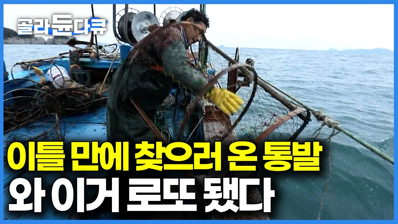 바람 불어 며칠 못 걷은 통발, 오늘 꺼내러 가봤더니 뿌려둔 통발마다 무겁게 올라온다｜한국기행｜#골라듄다큐