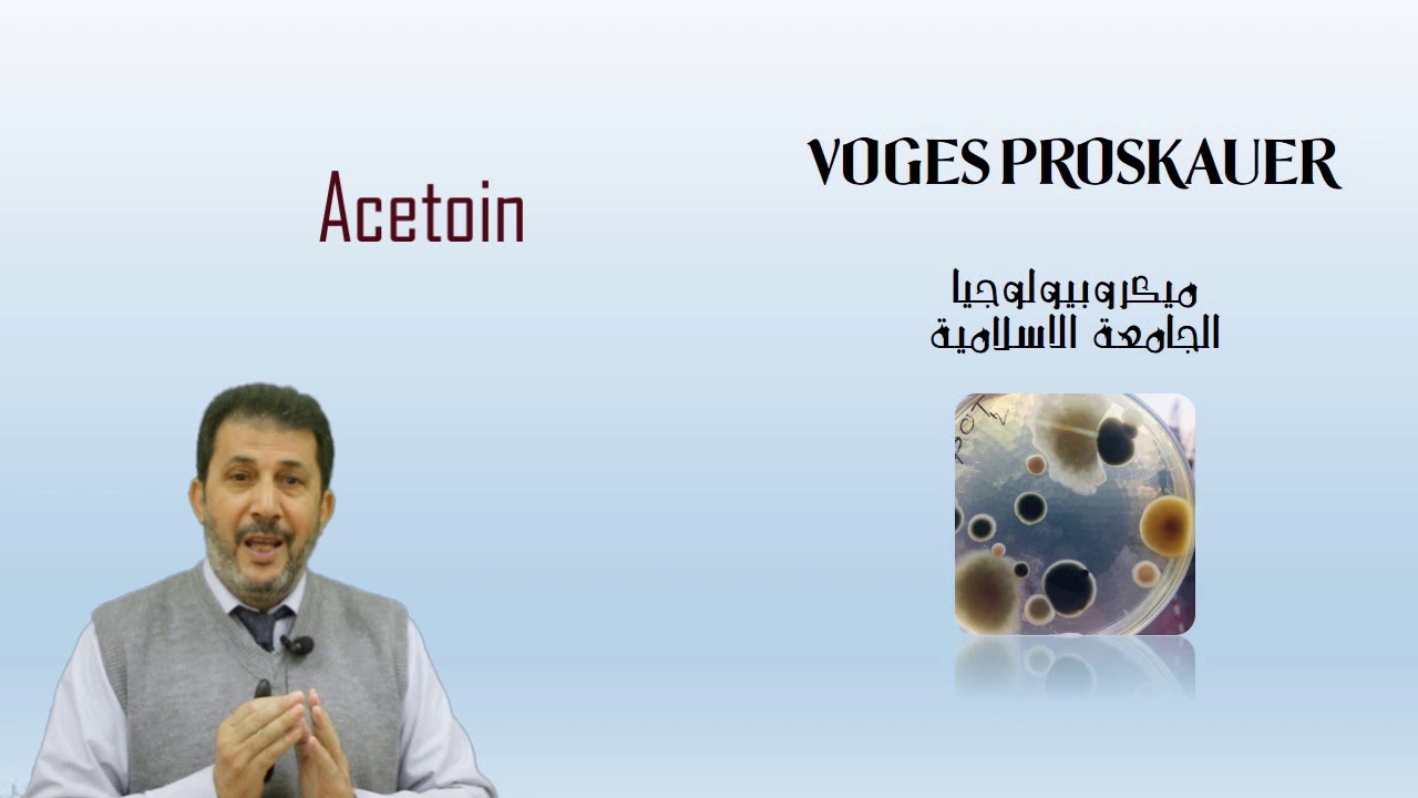 Voges Proskauer
