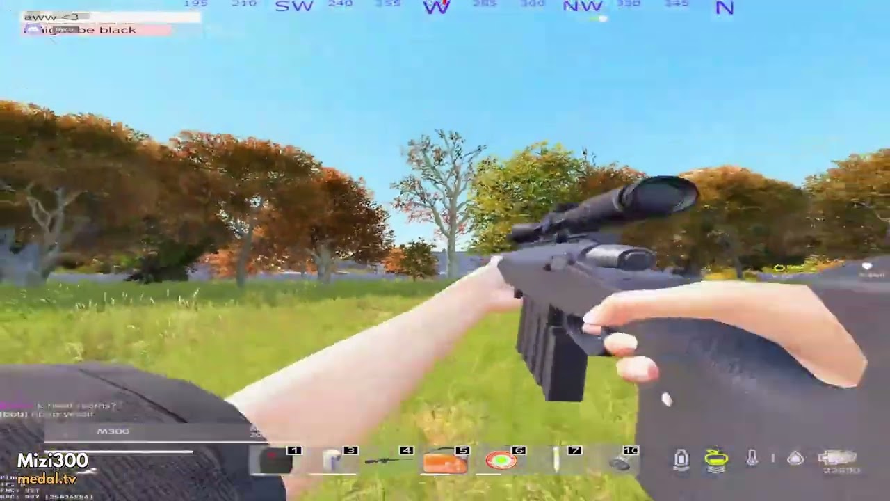 Flaws | Dayz PvP Montage | Rearmed EU4