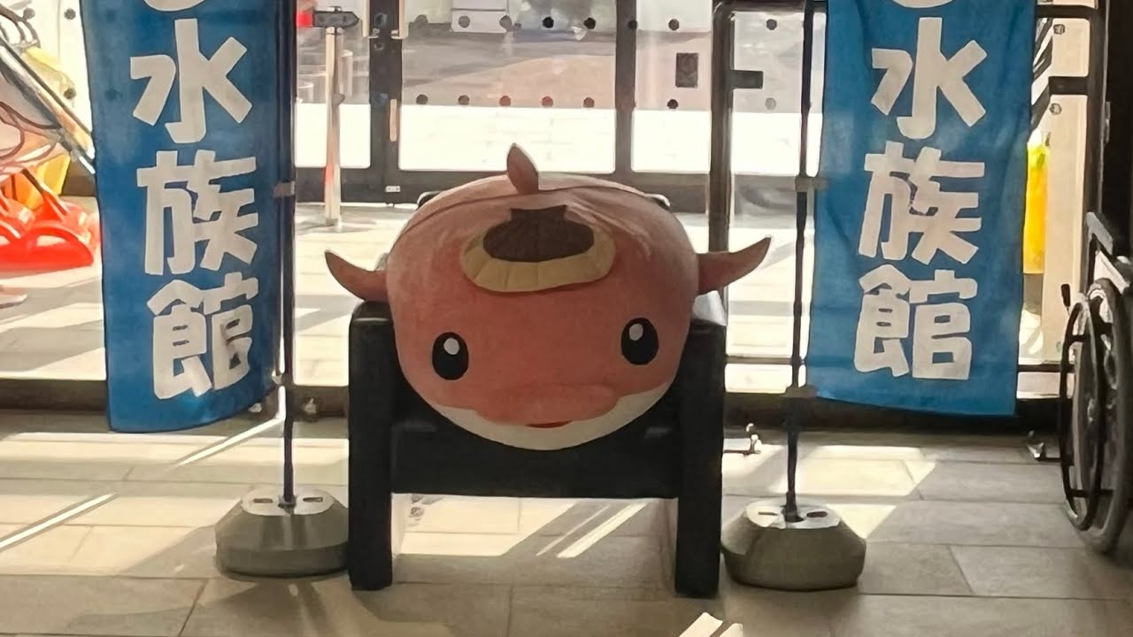 浅虫水族館　いるかショー