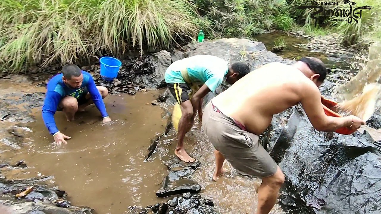नदीतील पारंपारिक मासेमारी |Traditional river fishing in Sindhudurga