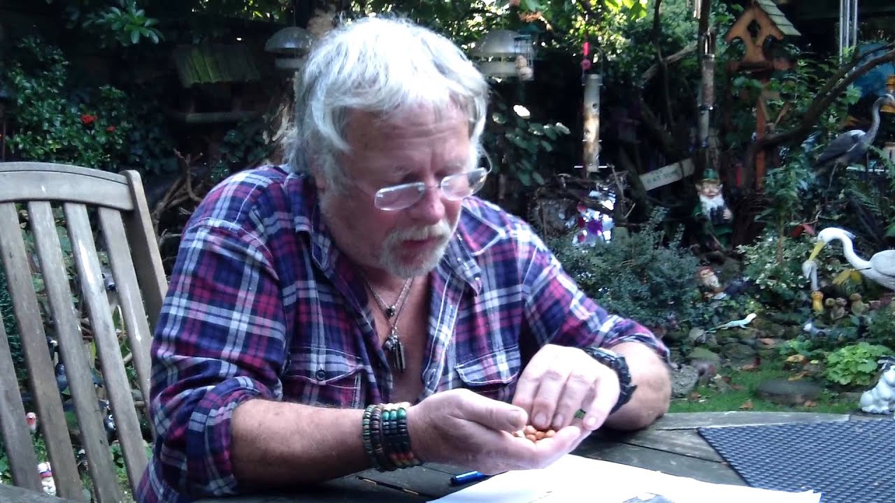 Peanuts for birds. A history lesson from Bill Oddie.