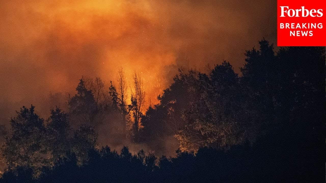 Thousands Of Firefighters Battle Wildfires In Northern Portugal As Blaze Continues To Spread South