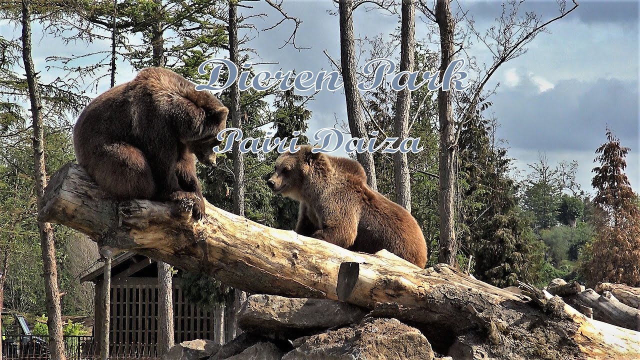 Pairi Daiza