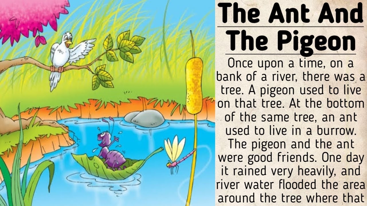 Panchtantra Story|The Ant And The Pigeon Story|English Story| Interesting Story For Everyone