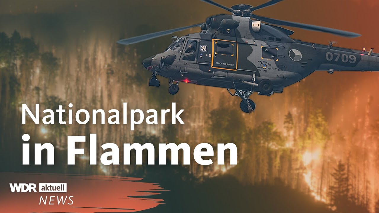 Waldbrand: S&auml;chsische Schweiz weiter im Ausnahmezustand | WDR Aktuelle Stunde