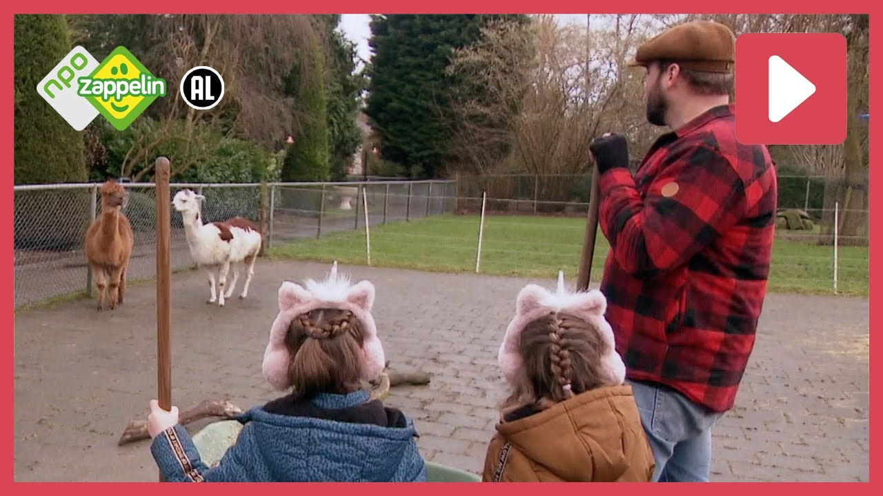KINDERBOERDERIJ: WAT IS JOUW LIEVELINGSDIER? 🐰🐑 🐷 | Het Feest van Zappelin - Winter | NPO Zappelin