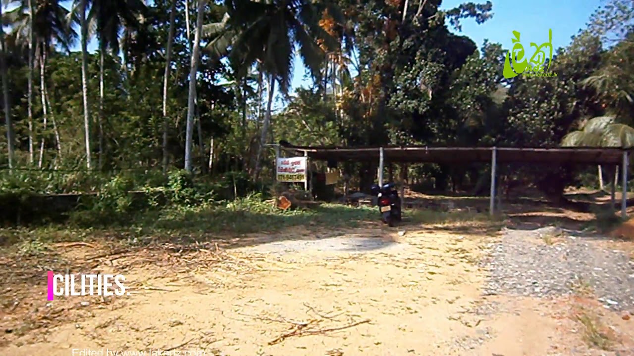 56P Valuable Land for Sale in Dehiovita.