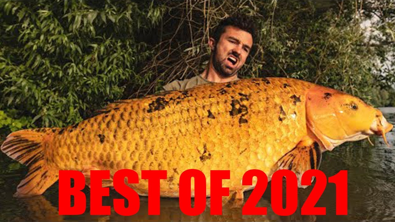 Top Fishing Moments from 2021 I FreestyleFishing