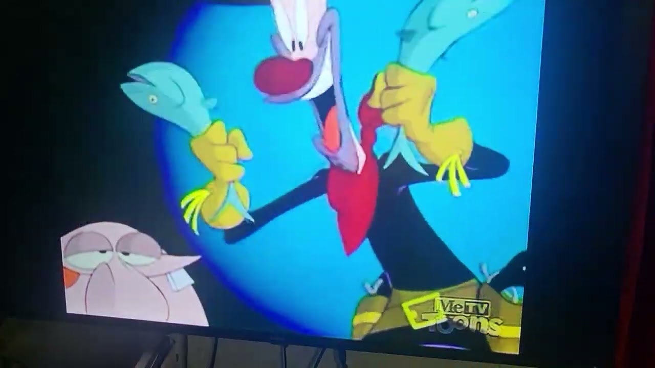 First Moment of The Wacky World of Tex Avery Airing on MeTV Toons (February 24, 2025)