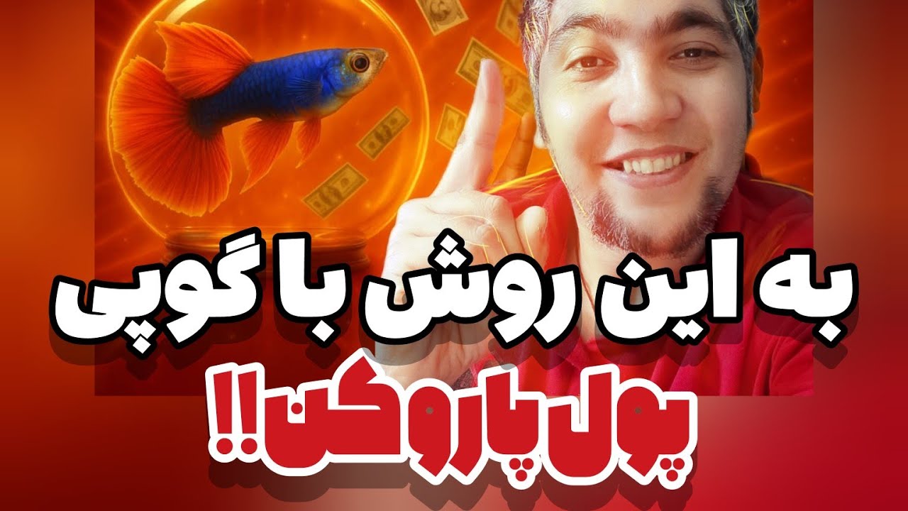 با این روش از ماهی گوپی درآمدت کپل کسب کن 🤑 #آکواریوم #گوپی #aquarium  #فایتر  #aquarium  #فایتر