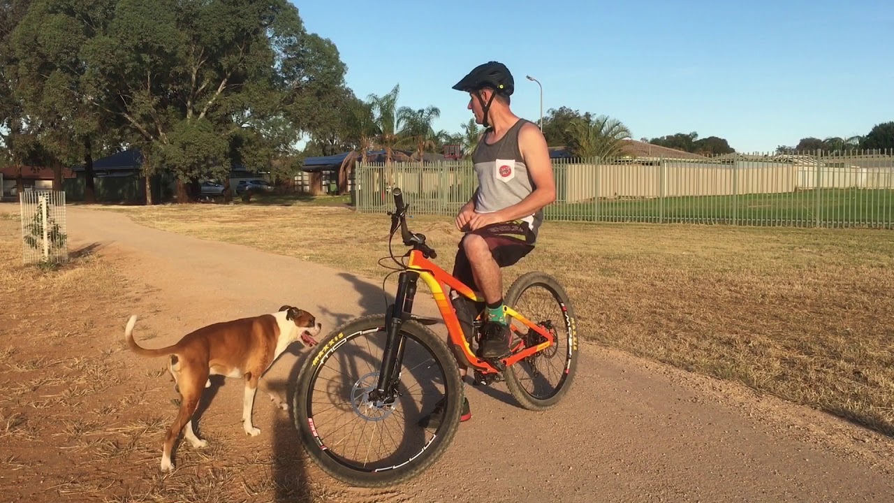 Learn How To Wheelie!