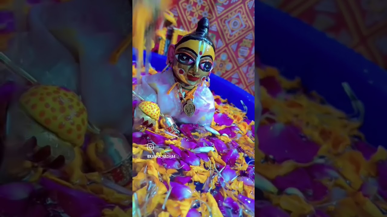 #holiwithkrishna
