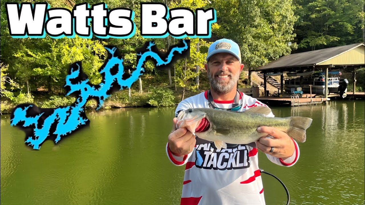 Watts Bar Lake Bass Fishing