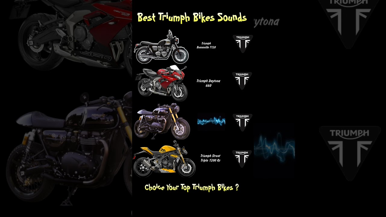 Top Triumph Bikes Exhaust Sound 💥 🤯 #shorts #triumph #triumphstreettriple #triumphtiger #ninjazx10r